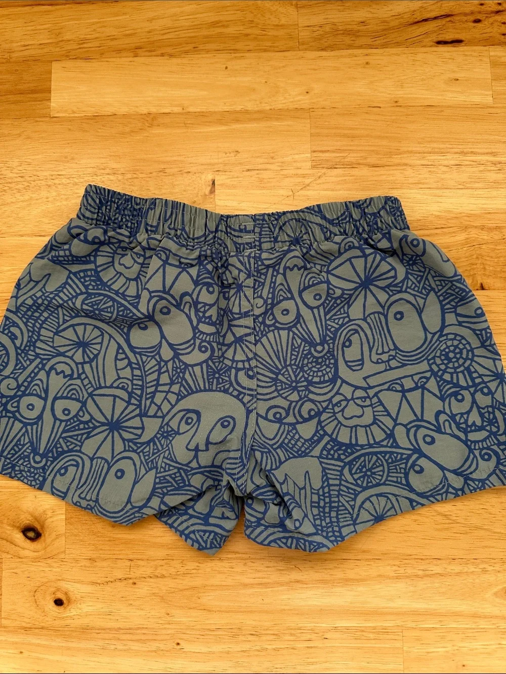 Patagonia Blue Graphic Baby Baggies Shorts